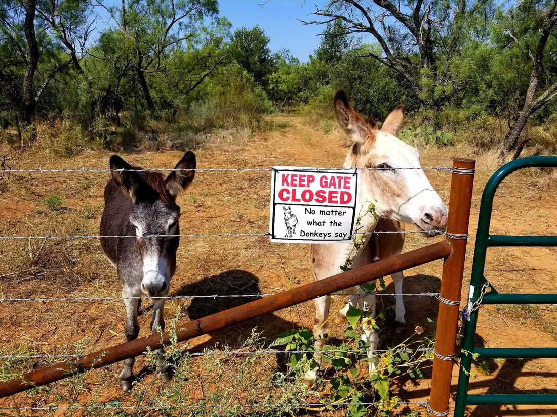 Two donkeys at the ranch gate, next to a hand-lettered sign reading Keep Gate Closed, no matter what the donkeys say